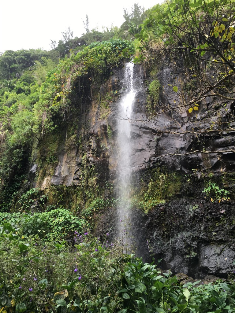 Anse des cascades Réunion